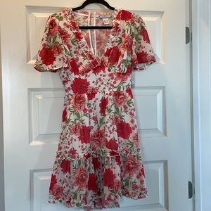 NWT Gorgeous Roses sun dress